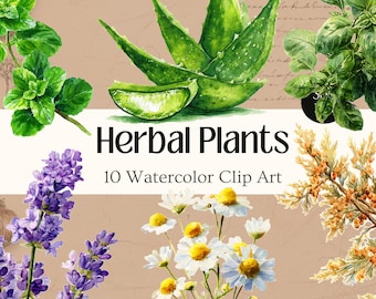 Herbal Plants Clip Art Botanical Apothecary Plants Old Herbal Medicine Vintage Junk Journal Ephemera Ancient Herbs Medicinal Watercolor Kit
