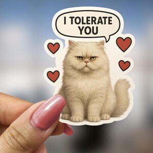 Persian Cat Mom Sticker Cute Kitty Decal Gift for Cat Mama Cat Lady Cat Lover Pet Owner Feline Vinyl Sticker for Laptop Funny Persian Cat