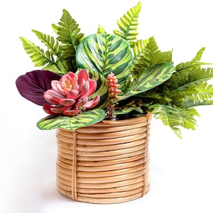 May include: A woven wicker planter with a variety of green plants, including ferns and a succulent with pink flowers.