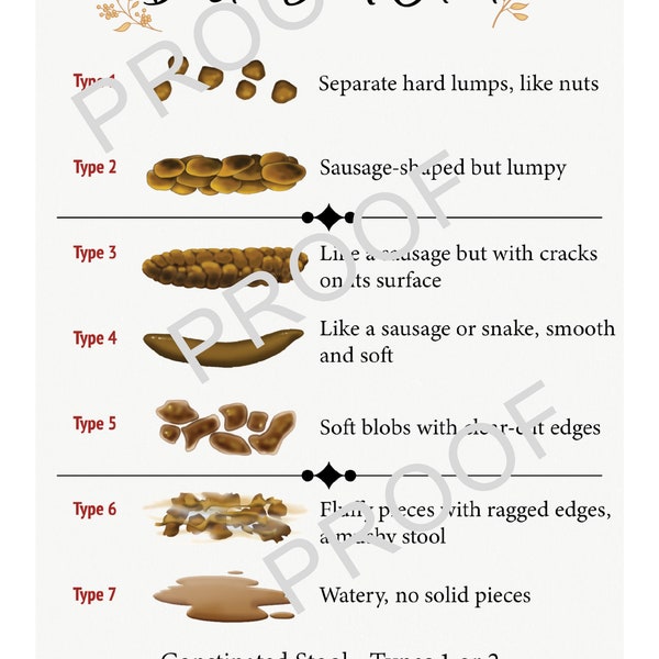 Bristol Stool Chart File