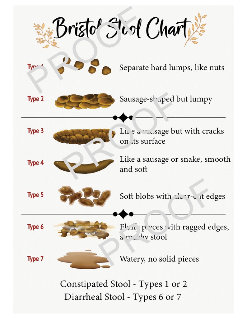 Bristol Stool Chart File - Etsy