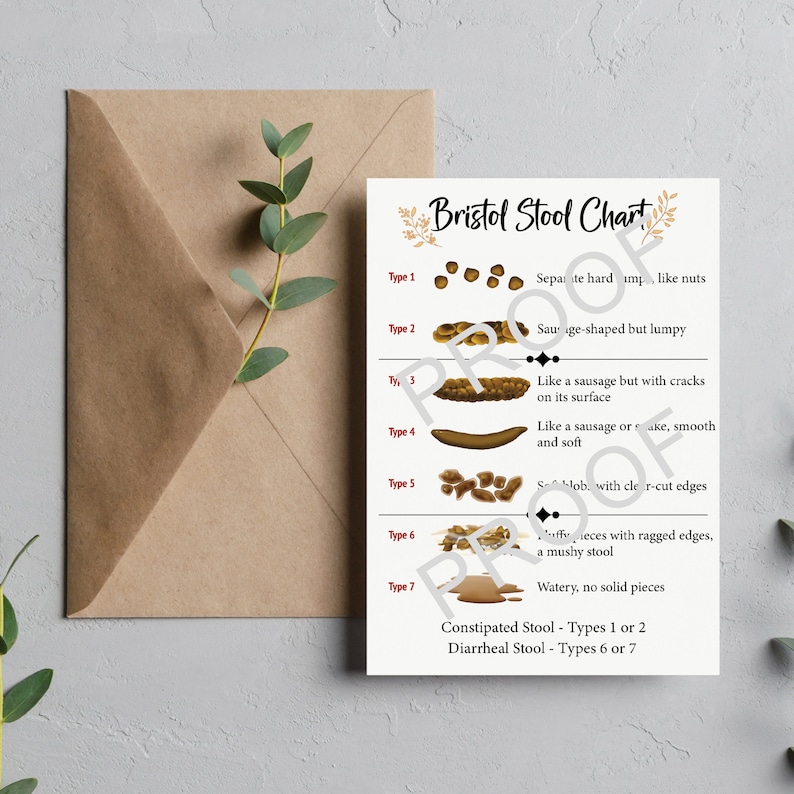 Bristol Stool Chart File - Etsy