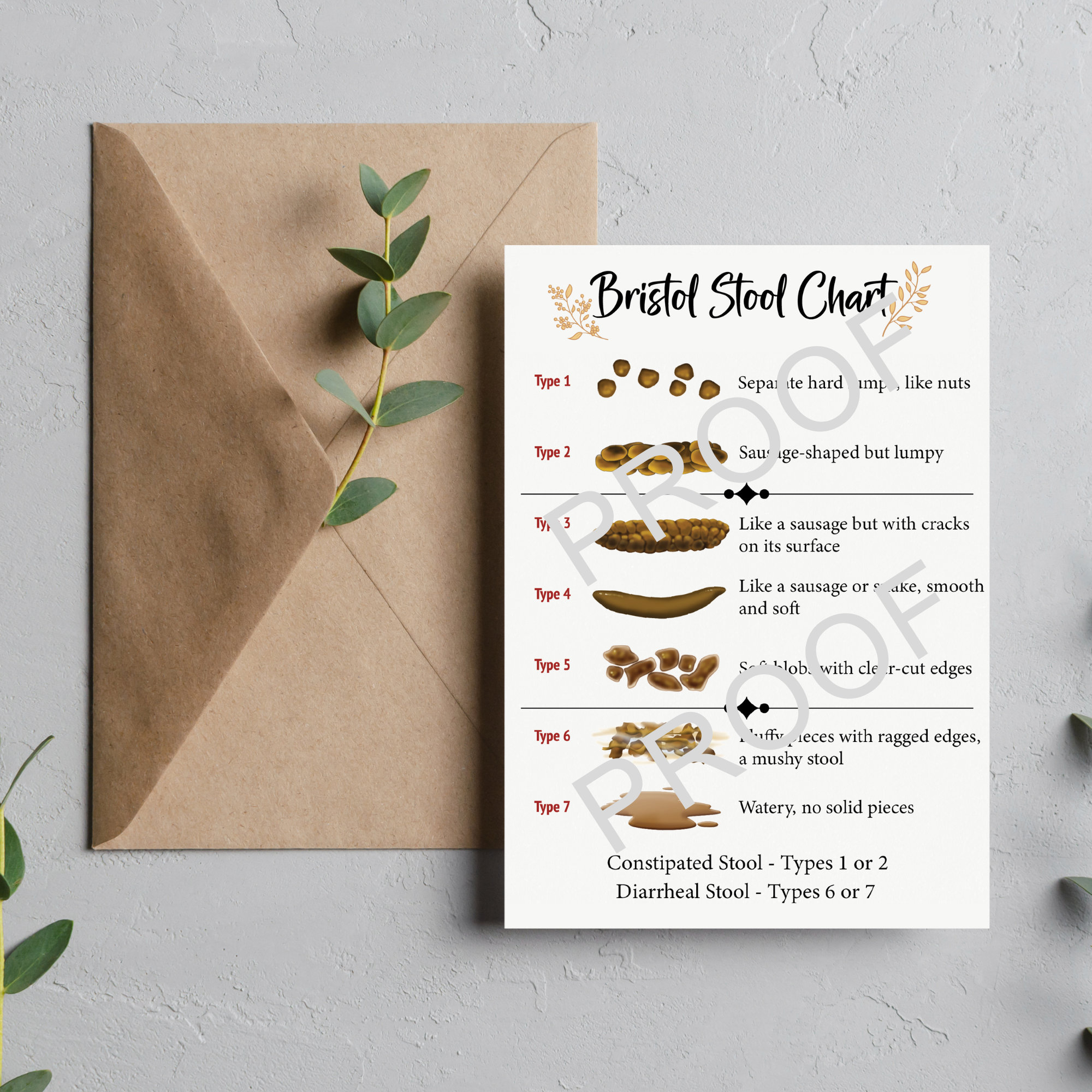 Bristol Stool Chart File - Etsy