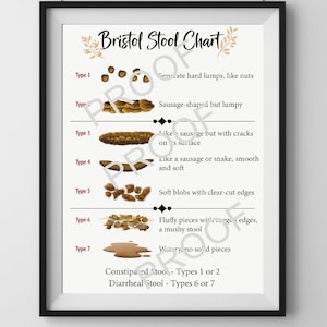 Bristol Stool Chart File - Etsy