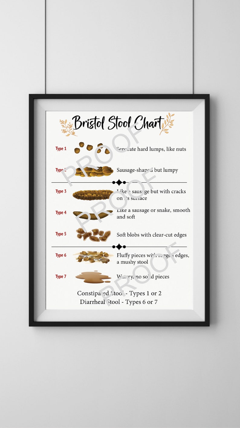 Bristol Stool Chart File - Etsy