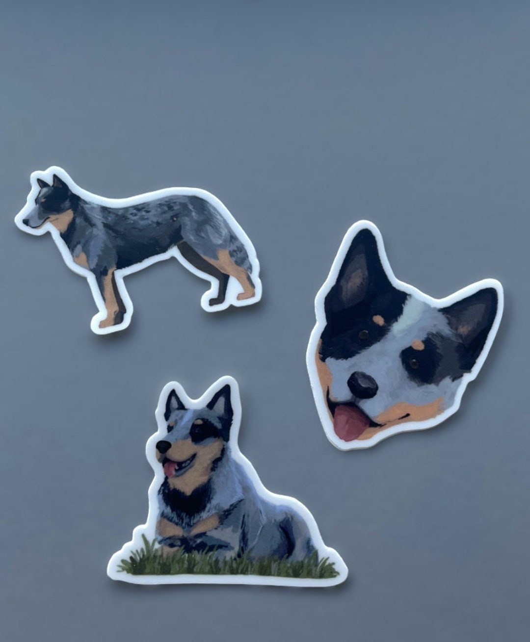 Blue Heeler Car Window Decals - Realistic Dog Stickers Pack Of 2 For Cars & Windows