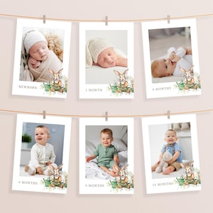 Bunny 1st Birthday Photo Banner: Milestone Template (Digital Download)