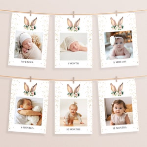Bunny 1st Birthday Photo Banner: Monthly Milestone Printable (Digital Download)