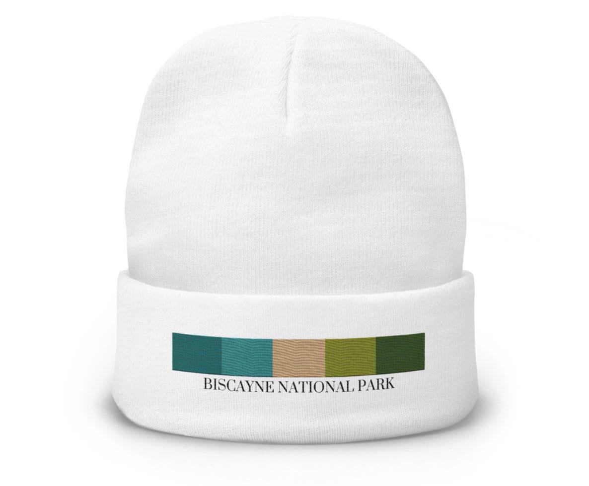 Biscayne National Park Palette Knit Beanie in Multiple  display picture 1