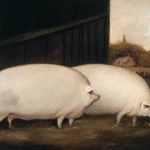 A Pair of Pigs Cross Stitch Pattern PDF