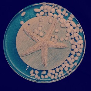 Ocean theme  custom coaster