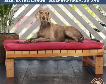 DIY Dog Bed Plans, Cute Dog Beds, Woodworking Plans, Pet Bed Pattern, DIY Modern Bed, Pet Chair Outdoor, Furniture Plan, Build Plans