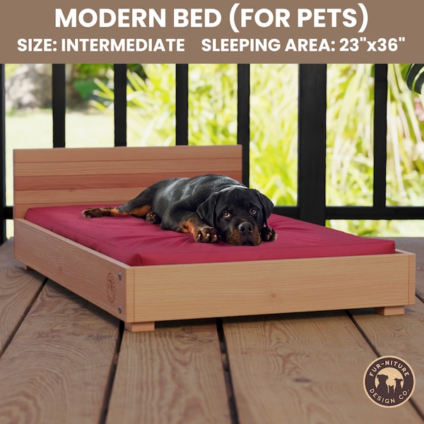 DIY Dog Bed Plans, Dog Bed Build Plan, Dog Bed Wood Plan, DIY Pet Bed, Dog Bed DIY, Large Dog Bed, Dog Platform Bed Plan