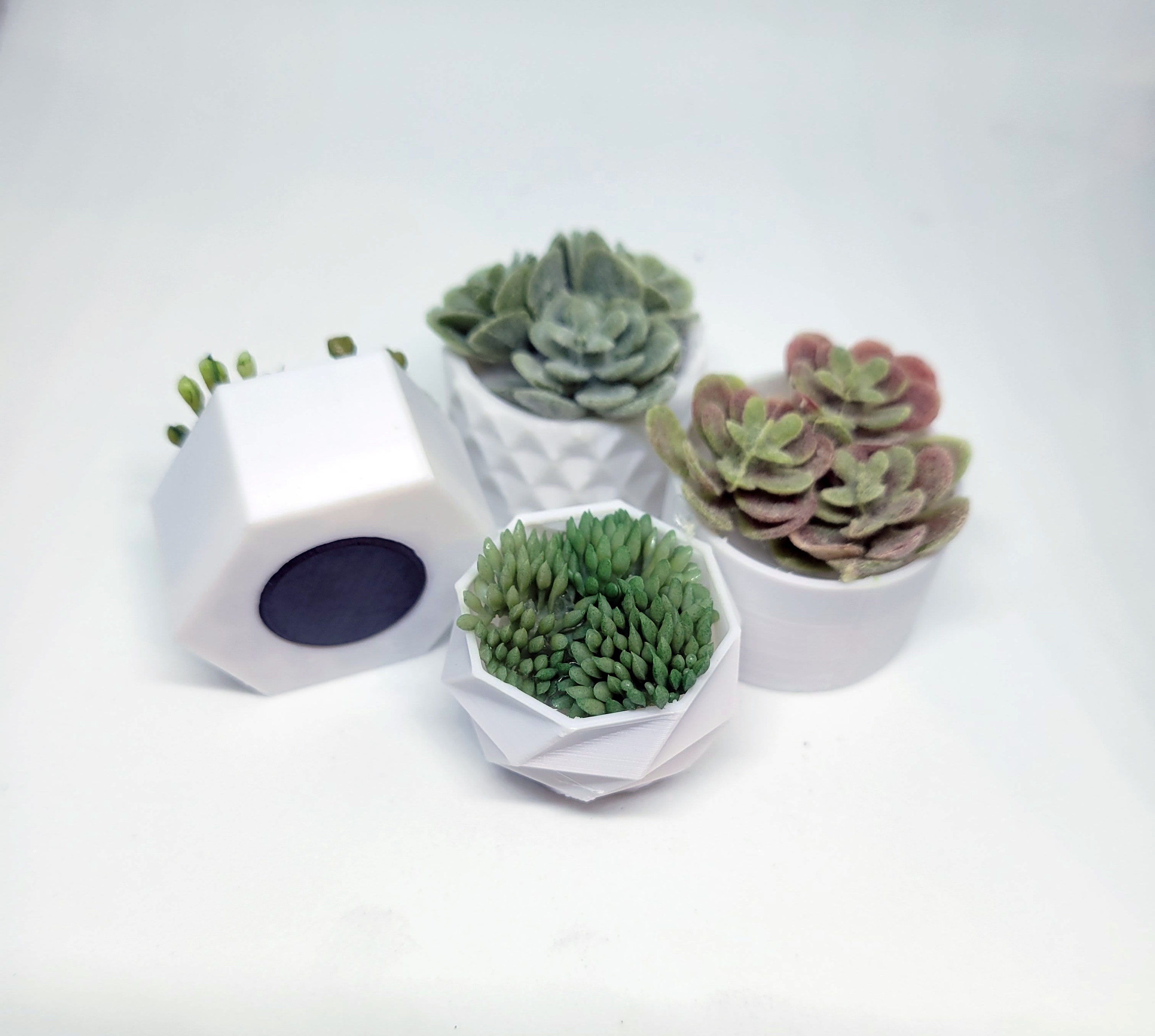 4 Pièces Aimant Plante Frigo, Aimants de Réfrigérateur de Plantes Monstera  Refrigerator Magnets 3D Décoratifs pour la Décoration de Bureau à Domicile  Décalque de Réfrigérateur de Cuisine (Vert) : : Cuisine et