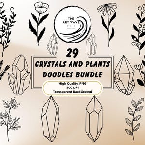 Cristaux et plantes Doodles Bundle, 29 PNG, Cricut Silhouette Graphics, dessins complexes simples, éléments de journalisation indésirable, utilisation commerciale