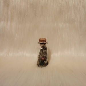Mini Mushroom In a Bottle