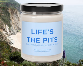 Life Is the Pitts, Funny Scented Soy Candle, 9oz candle, Humor gift, Supportive Friend Gift, Gift with Quotes, Gag Gift, Best Friend Candle,