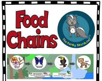 Food Chains for Kids or Class Room