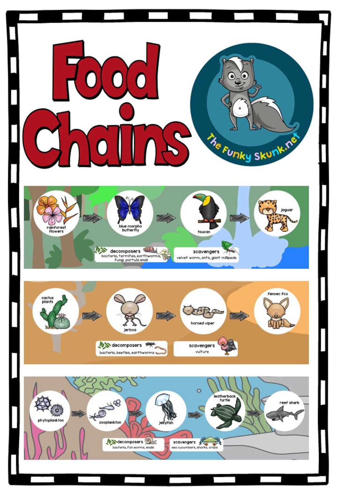 Food Chains for Kids or Class Room Biology Diagrams