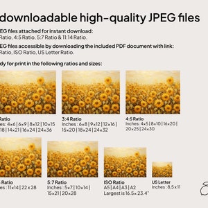 May include: A graphic showing different aspect ratios and sizes for printing images. The image shows a field of sunflowers in various sizes, with the text "7 downloadable high-quality JPEG files" at the top.