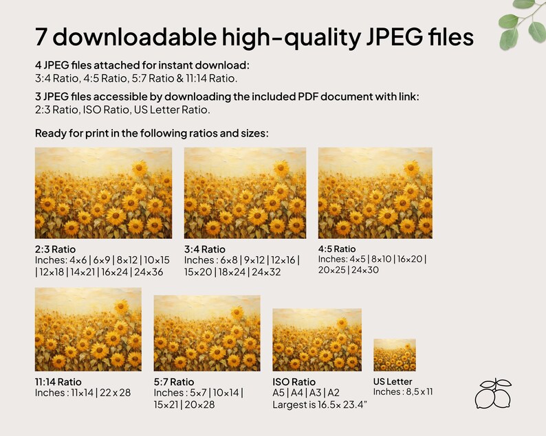 May include: A graphic showing different aspect ratios and sizes for printing images. The image shows a field of sunflowers in various sizes, with the text "7 downloadable high-quality JPEG files" at the top.