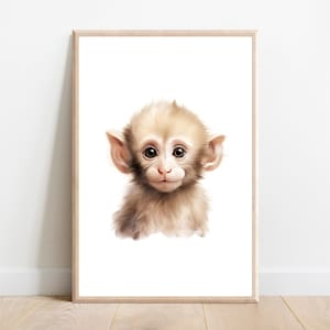 Capuchin Monkey Nursery Print: Jungle Animal Wall Art (Digital Download)