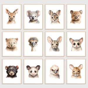 Australian Animal Prints | Set of 12 Prints | Australian Nursery Decor | Australian Nursery Art | Aussie Animals | Digital Prints