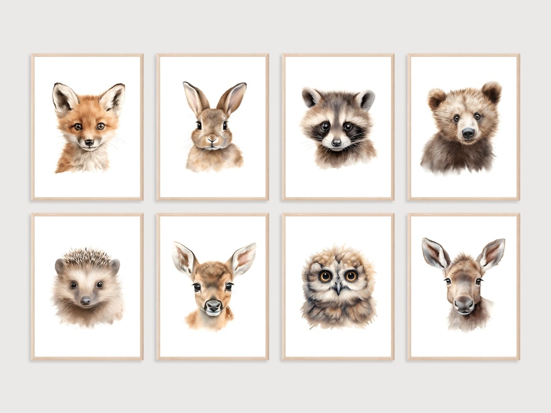 Woodland Animal Nursery Prints: Set of 8 Art (digital Print) - Etsy