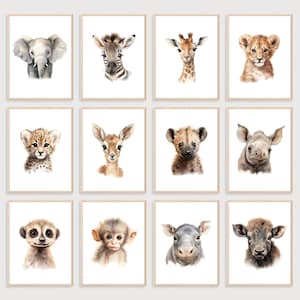 Safari Kinderzimmer Tier Drucke | 12er Set Drucke | Safari-Kinderzimmer-Dekor | Digitaldruck | Safari Kinderzimmer Kunst | Safari Kinderzimmer Wandkunst