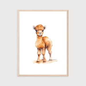 Impresión de camello bebé: Arte mural desértico para habitación infantil (impresión digital)