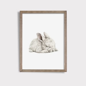Puede incluir: Una pintura de acuarela enmarcada de un conejo blanco durmiendo. El conejo está acurrucado con la cabeza apoyada en las patas. El fondo es blanco.