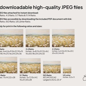 May include: A digital download of 7 high-quality JPEG files of a field of white daisies. The images are available in various aspect ratios and sizes, including 2:3, 3:4, 4:5, 5:7, 11:14, ISO, and US Letter.