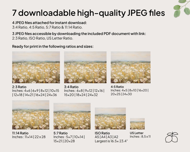 May include: A digital download of 7 high-quality JPEG files of a field of white daisies. The images are available in various aspect ratios and sizes, including 2:3, 3:4, 4:5, 5:7, 11:14, ISO, and US Letter.