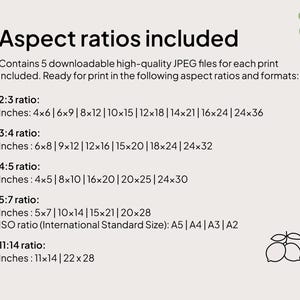 aspect ratios