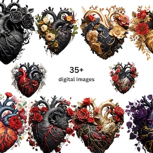 Pu&ograve; includere: Una collezione di oltre 35 immagini digitali che presentano illustrazioni anatomiche di cuori con intricati arrangiamenti floreali. I cuori sono rappresentati in vari colori, tra cui nero, oro e rosso, e sono adornati con rose, foglie e viti.