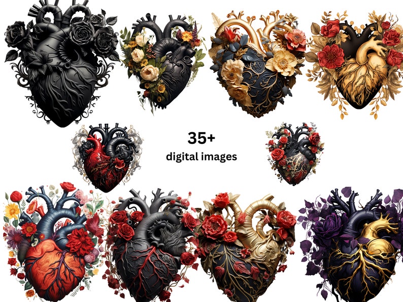 Pu&ograve; includere: Una collezione di oltre 35 immagini digitali che presentano illustrazioni anatomiche di cuori con intricati arrangiamenti floreali. I cuori sono rappresentati in vari colori, tra cui nero, oro e rosso, e sono adornati con rose, foglie e viti.