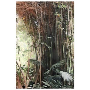Bamboo Art Print, Giclée Print, Nature Lovers Gift, Bamboo Decor, Eco Friendly Decor - Minimalist Wall Art