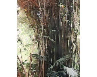 Bamboo Giclée Print: Minimalist Nature Wall Art, Eco-Friendly