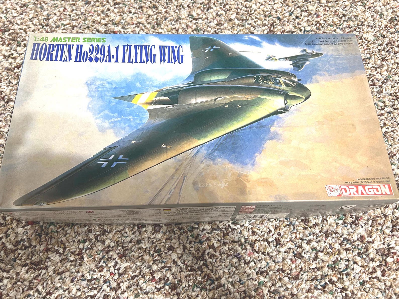 Horten Ho299a-1 Flying Wing Scale Model Kit - Etsy