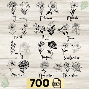 Birth Month Flower Clipart Watercolor Lineart Line PNG Birthflower Bundle Sticker Rose Daisy Poppy Bouquet Antique Floral Botanical Birthday