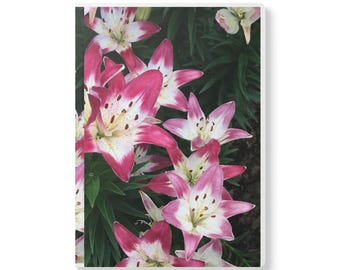 Floral Softcover Journal: Nature Inspired Notebook, Creative Writing