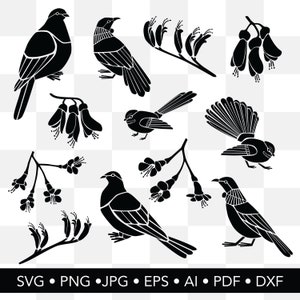 Estênceis digitais de pássaros e flores da Nova Zelândia | Pacote de 12 | SVG | PNG | DXF | Cortar arquivo | Tui | Fantail | Flor Kowhai | Kiwiana Clipart