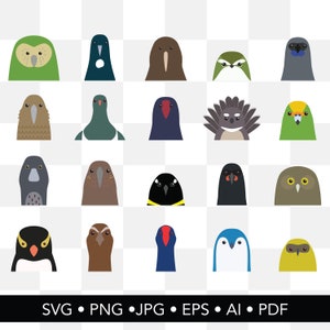 Clipart oiseau de Nouvelle-Zélande | Lot de 20 | SVG | PNG | JPEG | Svg kiwi | Tui | Fantail | Kéa | Kakapo | Clipart Kiwiana | Tête d'oiseau néo-zélandaise