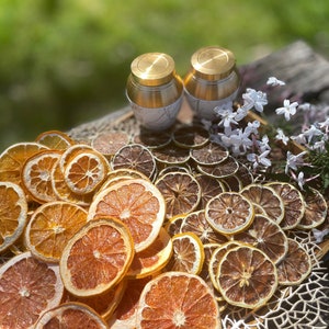 May include: A wooden tray with dried citrus fruit slices, including grapefruit, orange, and lime. Two small gold and white containers are in the background.