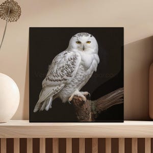 Snowy Owl Digital Download, Wildlife Digital Print, Bird Art Wall Decor, Nature Digital Art, Owl Poster, Animal Lover Gift,  Owl Art