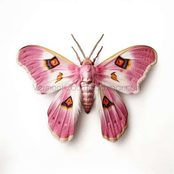 Rosy Moth, AI Digital Image, Art Download, Tshirts, Art Prints