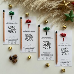Christmas gift, Holiday presents, Seed Pencil, Seasonal surprises, Yuletide offerings, Xmas keepsake, Joyful token, Custom Favors for Guests