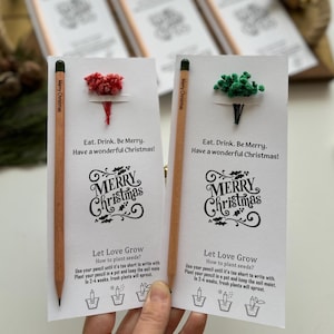 Christmas Gifts, Personalized Seed Pencil For Guest, Holiday Presents, Christmas Tokens, Xmas keepsake, Seasonal surprises, Xmas Gift