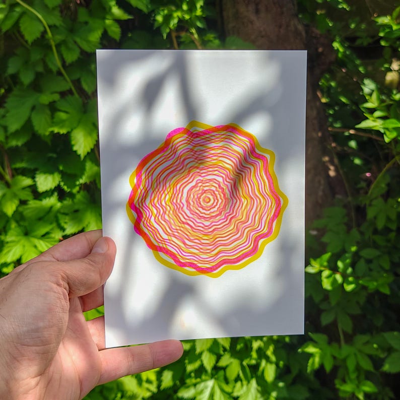 Hand holding the A5 riso print outdoors against green leaves, concentric tree rings in pink and yellow