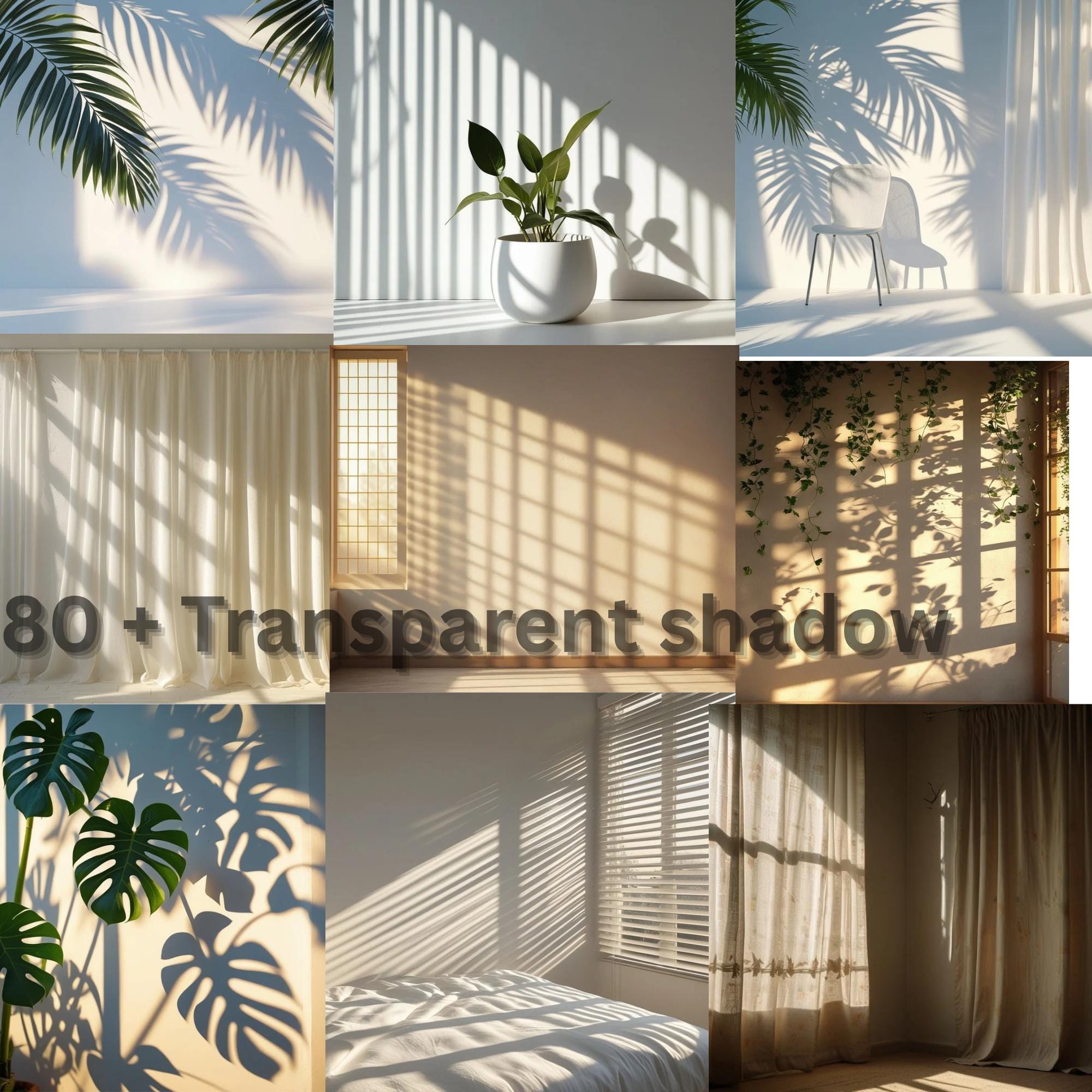 80+ Shadow Overlay Backdrops: Botanic Window Light Effects (digital ...